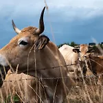 Σπίτι διακοπών 